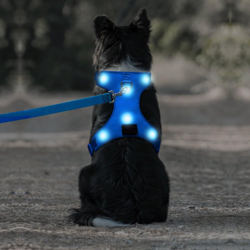 Safety LED Dog Harness - Light Up Dog Vest, No-Pull Dog Harness - Rechargeable Glowing Pet Harness for Night Walking & Camping (Blue, L [Neck:19.5"-28"; Chest:28"-42"])