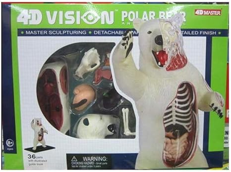 Amazon シロクマ 動物界 北極海の生命 シロクマの4d解剖学的モデル 子供の教育玩具 36個のオルガンパーツ ローボード テレビ台 オンライン通販