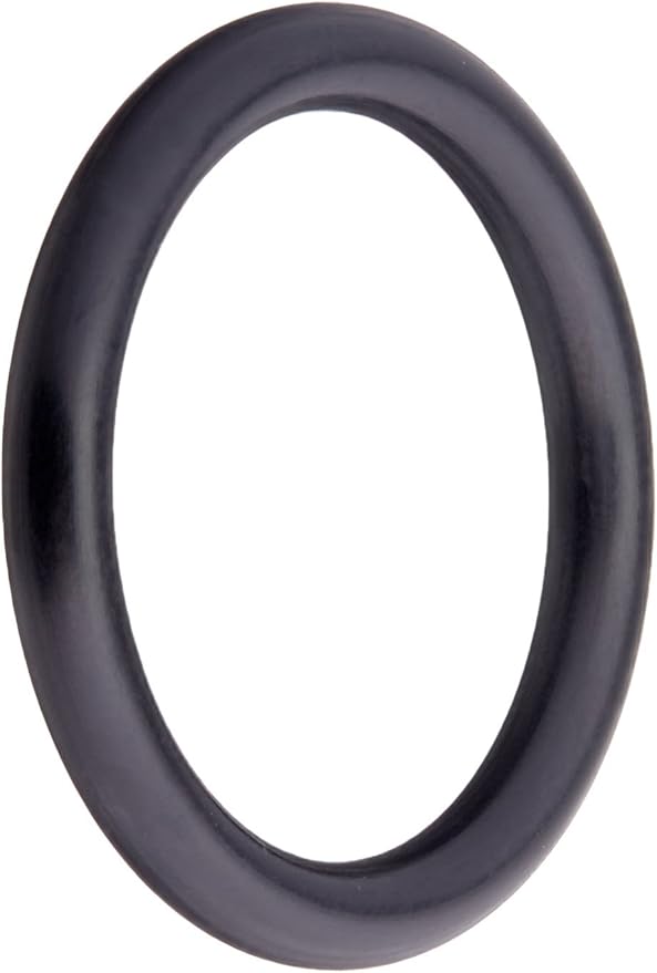 Pentair R172451 Check Valve ORing Replacement Pool and Spa Dynamic