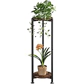 YIZAIJIA Plant Stand Indoor Corner Tall 2 Tier Metal Modern Flower Storage Plant Shelf Holder for Living Room Balcony Garden,