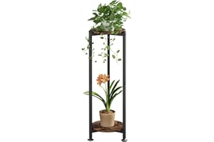 YIZAIJIA Plant Stand Indoor Corner Tall 2 Tier Metal Modern Flower Storage Plant Shelf Holder for Living Room Balcony Garden,Black (2 Tier-Black Round)