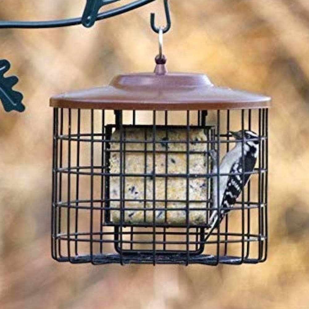 Squirrel-X Squirrel Proof Double Suet Feeder, Cage Bird Feeder, 2 Suet Cake Capacity : Suet Bird Feeders : Garden & Outdoor