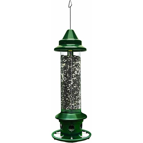 たまちゃんストア特別価格Squirrel Buster Plus Squirrelproof Bird Feeder Feedi好評販売中