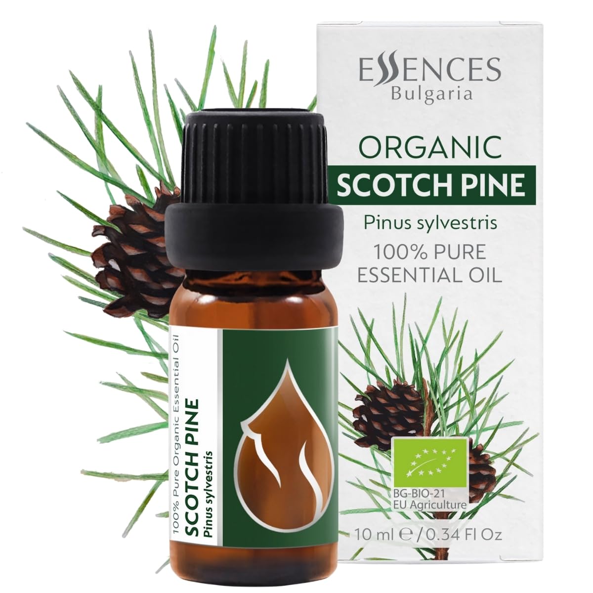 Essences Bulgaria Organic Scotch Pine Essential Oil 10ml | Pinus Sylvestris | 100% Pure and Natural | Undiluted | Therapeutic Grade | Family Owned Farm | Steam-Distilled | Non-GMO | Vegan