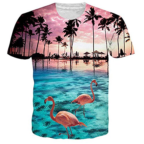 HOSALA Unisex 3D Printed Short Sleeve Aloha Hawaiian T-Shirt Tees S-XXL (Large)