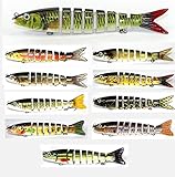 Discover Fish® 8