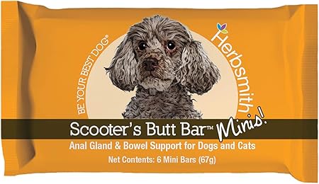 pumpkin digestive aid dogs