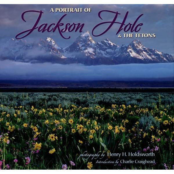 Wynn Bullock: The Enchanted Landscape Photographs 1940-1975