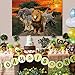 Allenjoy 7x5ft Jungle Backdrop for African Desert Animal Forest Summer Sunset Scenic 1st First Birthday Party Photography Event Table Decoration Banner Background Children Photo Booth Shoot