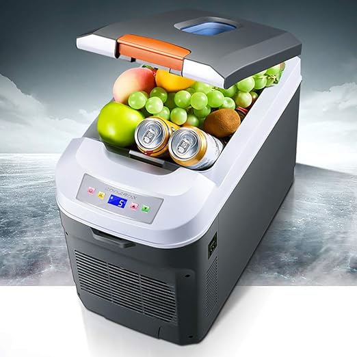 YNWJ 22L Nevera Portatil 24V 12V 220V 24V Camión Nevera Electrica ...