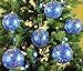 Festive Season Blue Swirl Shatterproof Christmas Ball Ornaments, Tree Decorations (Set of 6, 80mm)