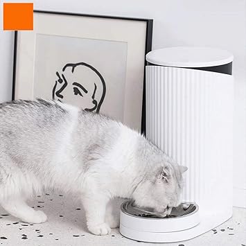 automatic treat dispenser for cats