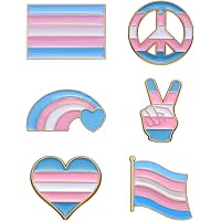 Spilla Transgender Classic Flag Pride A Smalto - Badge
