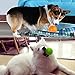 3 Pcs Pet Squeaky Chewing Balls Puppy Chew Toys Soft Stab Balls Cleaning Teeth Toys Play Balls with High Bounce for Large Medium Small Pet Dog Cat