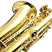 Costzon Alto Saxophone, E-Flat Gold Lacquer Finish, High F Key, Full Set Accessories with Carry Case, Neck Straps, Mouthpiece, Cork Grease, Reed, Cleaning Cloth Rod, Gloves for Beginner Student