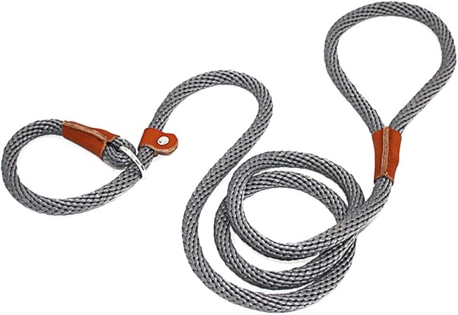 amazon dog slip leads