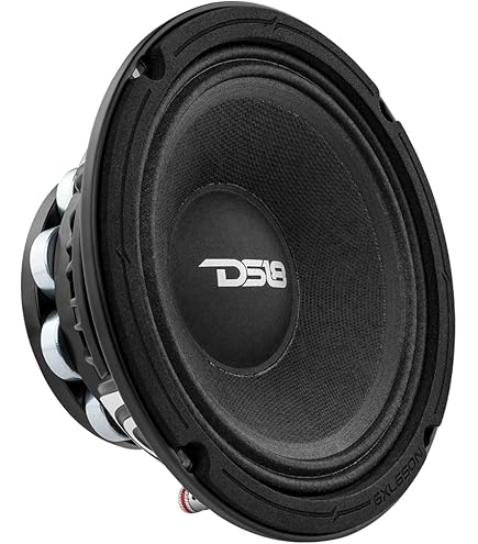 Amazon.com: DS18 8XL800-4 PRO XL 8