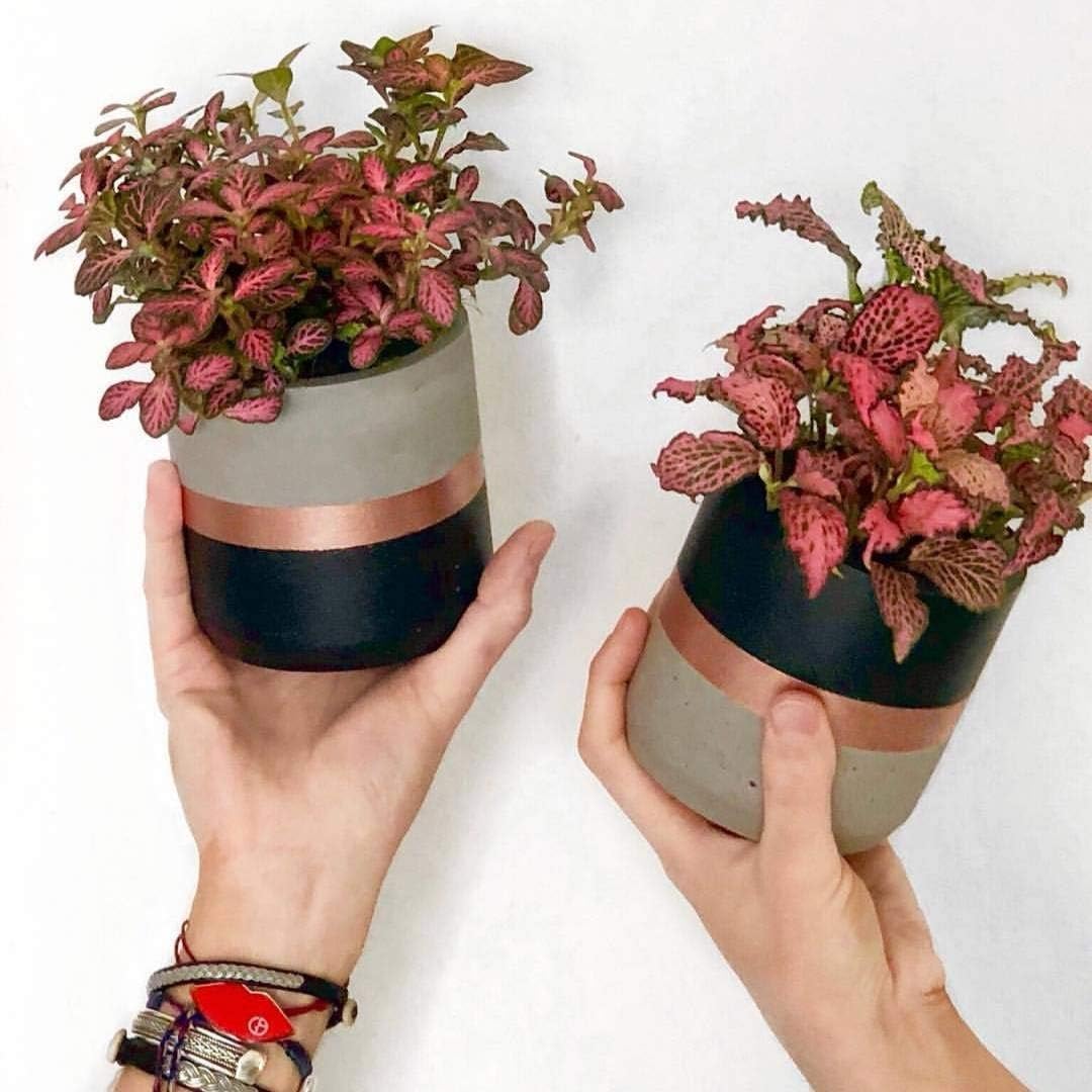 Atelier Ideco - Black and Rose Gold Set of 2 Concrete Round Planters