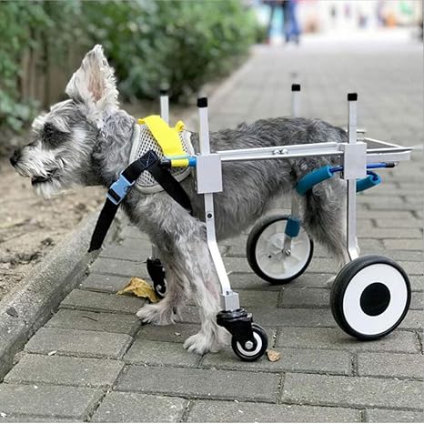 silla de ruedas para perros amazon