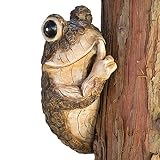 Bits and Pieces - Keep Quiet Frog Tree Peeker - Durable Polyresin Animal Tree-Hugger Sculpture - Lawn and Garden Outdoor D&eacute;cor Statue