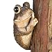 Bits and Pieces - Keep Quiet Frog Tree Peeker - Durable Polyresin Animal Tree-Hugger Sculpture - Lawn and Garden Outdoor D&eacute;cor Statue primary
