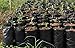 Frjjthchy 100 PCS Thicken Plastic Nursery Bags for Plants Fruit Flower Grow Bags Seedling Pots (6.69×11.81 in)thumb 2