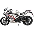 X-PRO 250cc 6 Speed EFI Fuel Injection Dirt Bike Motorcycle Bike Street Bike Motorcycle Assembled in Crate (White)