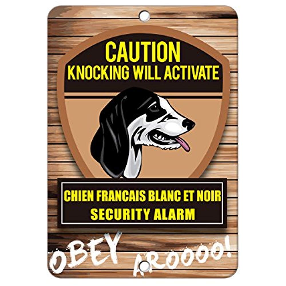 Amazoncom Knocking Will Activate Chien Francais Blanc Et