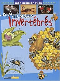 Les  animaux invertébrés