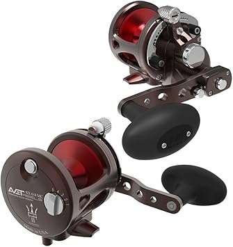 Avet sxj g2 mc Clearance