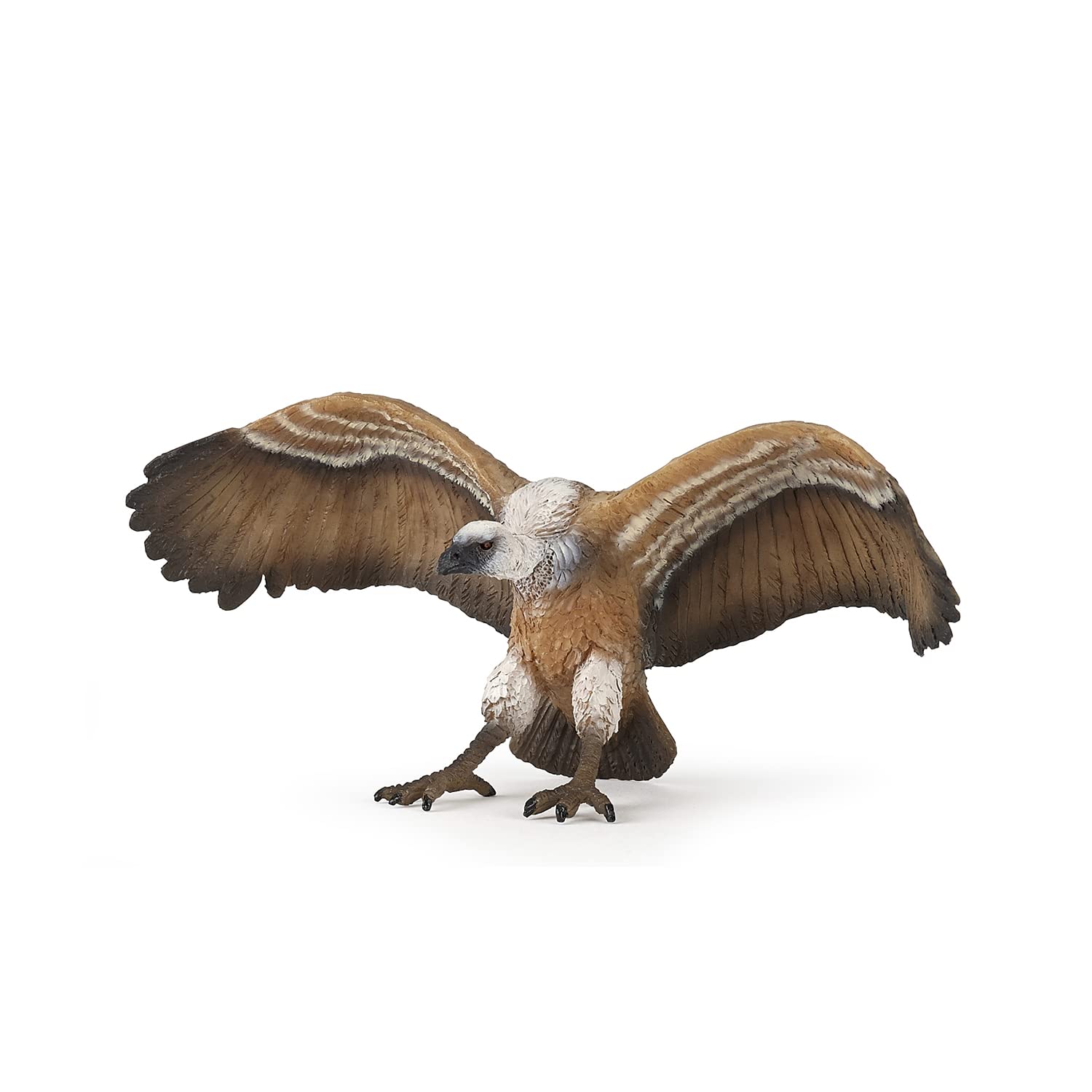 Papo WILD ANIMAL KINGDOM Animaux Figurine, 50168 Vulture, Multicolour