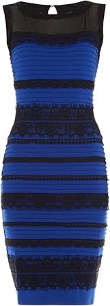 royal blue lace detail bodycon dress