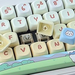 TYRIXKI PBT Keycaps 145 Keys MOA Profile Cute