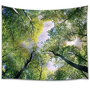 Looking Up The Trees in The Forest - Fabric Tapestry, Home Decor - 51x60 inches