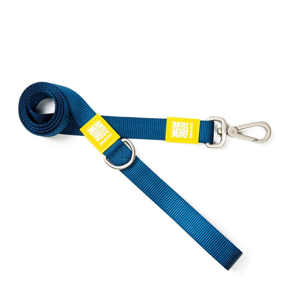 Max & Molly Short Leashes, Pure Orange