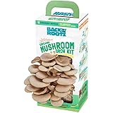 Back to the Roots Organic Mushroom Growing Kit, Harvest Gourmet Oyster Mushrooms In 10 days, Top Gardening Gift, Holiday Gift