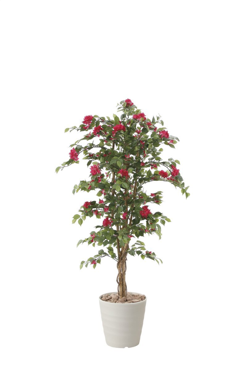 御祝 光触媒観葉植物 フェイクグリーン B07bnnjwy3 光触媒 インテリア フロアタイプ 内装 ハイサイズ ブーゲンビリア1 5 人工観葉植物 激安商品 Rumble Media