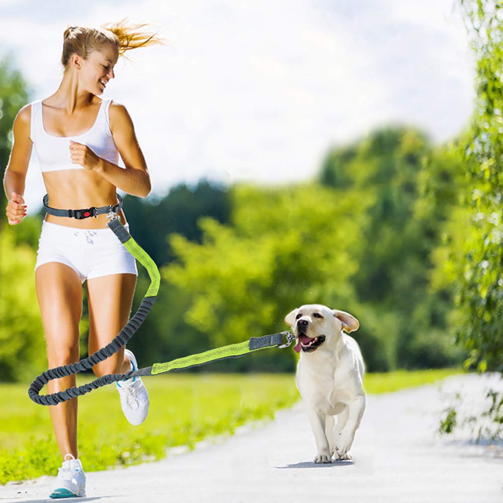 belt Hand-Free Adjustable Dog Leash Pet Coupler with Retractable Bungee for Running and Jogging