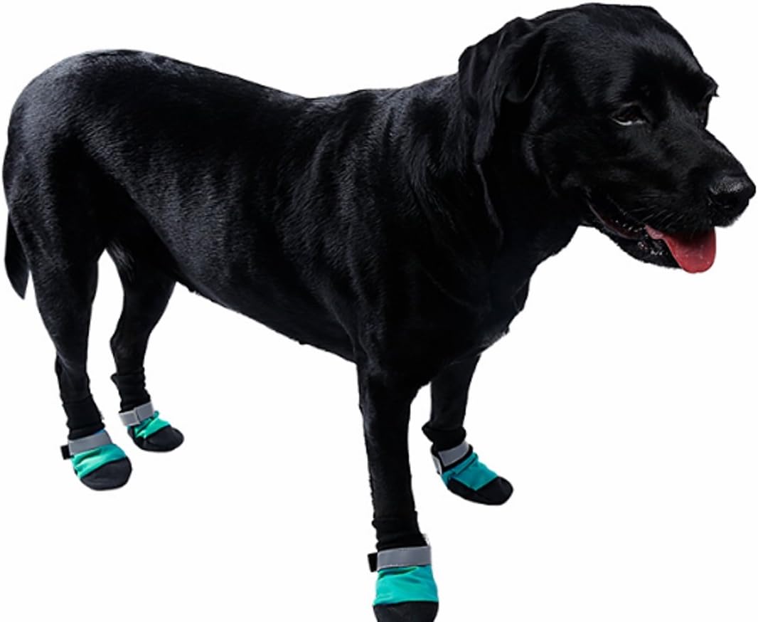 dog boots uk