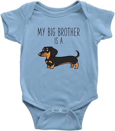 dachshund baby clothes