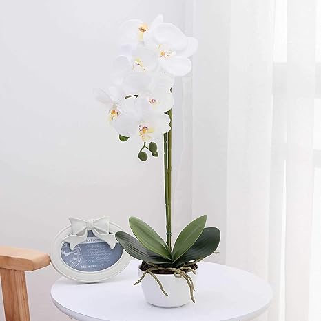 Amazon Co Jp Sevenk Artificial Phalaenopsis Orchid Decor With Vase Artificial Plants Flower Gift For Celebration Birthday Office Wedding White Home Kitchen