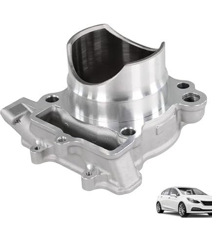 きんちゃん 71njl0VJkxL._UF350,350_QL80_.jpg