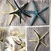 LifEast Sea World Fabric Shower Curtain Seashell and Sandy Beach (180180, Sea Stars)
