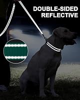 Taglory Dog Lead Reflective Nylon 2 cm x 180 cm Turquoise view 5