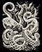 Royal and Langnickel Glow in Dark Engraving Art, Octopus