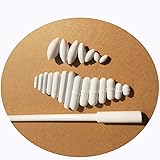 (Set of 22 PCS) Magnetic Stir Bar PTFE Magnetic