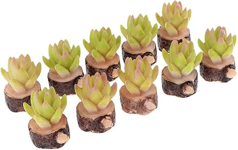 Amazon ドールハウス キット 初心者 多肉植物 樹脂工芸品 ミニチュア アクセサリー ガーデン飾り 約10個 家具 ホビー