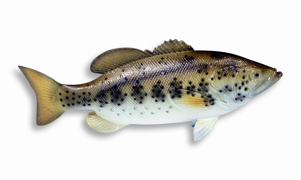 XL Hand Painted Bass Statue Game Fish Replica 6"