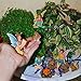 Mood Lab Fairy Garden Fairies - Miniature Figurines Accessories - Camping Fun Set of 8 pcs - Hand Painted Kit for Outdoor or House Decor