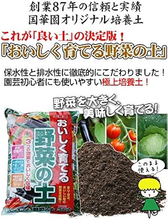 Amazon 培養土 国華園 おいしく育てる野菜の土 25l 2袋組 このまま使える培養土 野菜 土 園芸用土 家庭菜園 ガーデニング 用土